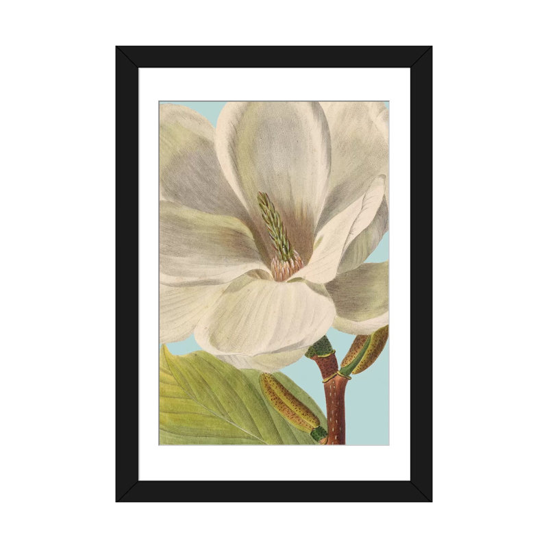 «Fresh Florals I», impression sur toile, H 32 po x l 24 po x P 1 po, Papier d'art encadré noir