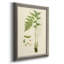 «Curtis Ferns I», reproduction sur toile encadrée-398498853