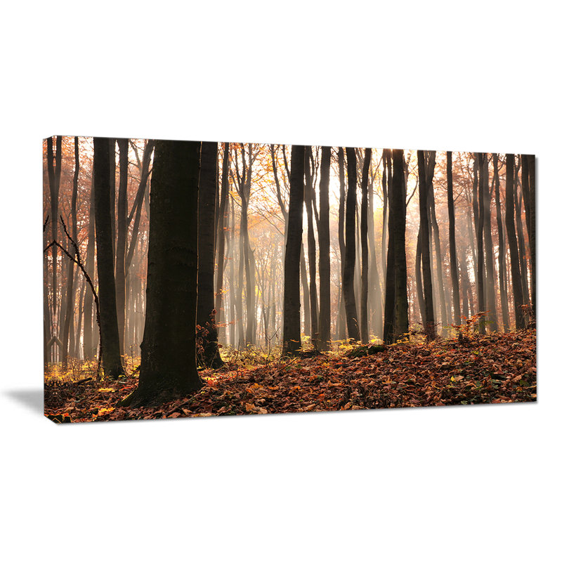 «Dark Thick Woods in Fall Forest», reproduction de photo sur toile tendue, H 28 po x l 60 po