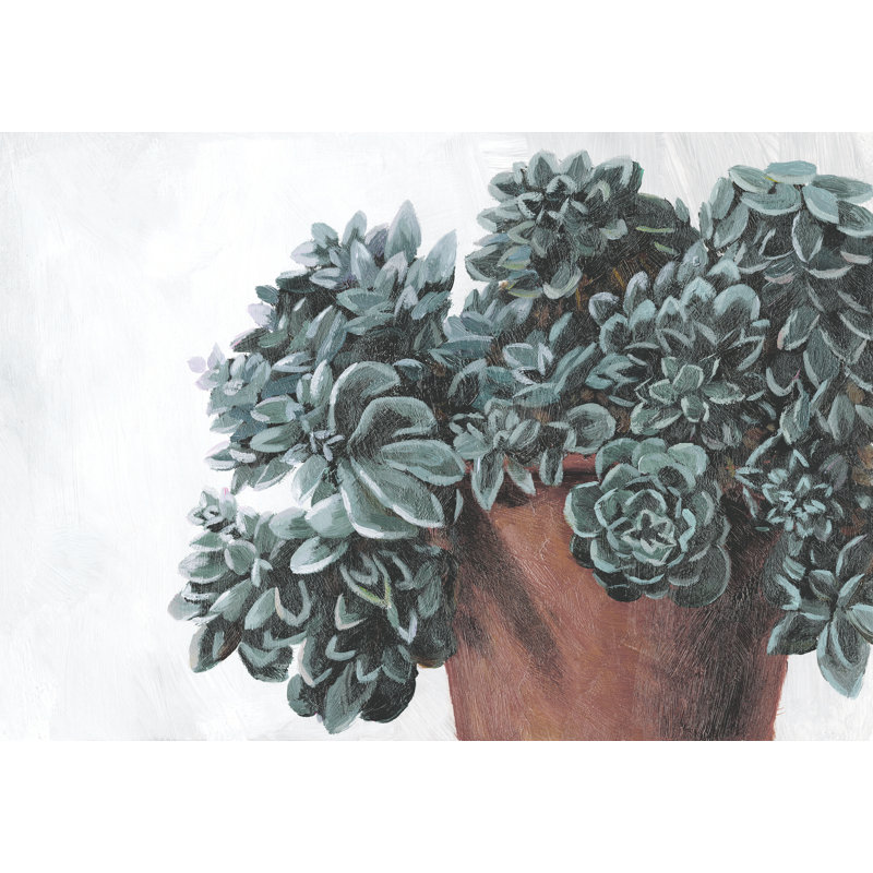 «Growing Succulents», reproduction sur toile, H 12 po x l 18 po