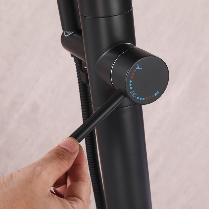Robinet de baignoire autoportant à fixation au sol en acier inoxydable 316 avec douche à main, Noir mat