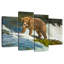 Ours grizzly Brampt Fearless-108787861