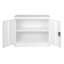 Hilliard Metal Storage Cabinet with Lock, 2 Doors,  1 Shelf Storage Cupboard for Files, Tools-35991058-35991060