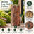 Backyard Bird & Wildlife Feeding Station