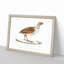 Olive Partridge Illustration by John Edward Gray - Picture Frame Painting Print-55581373-55581377