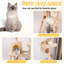 Structure d'escalade pour chat - Arbre à chat à niveaux multiples avec poteaux à griffer et perchoirs