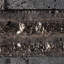 Carreau de mosaïque linéaire Mountainstone