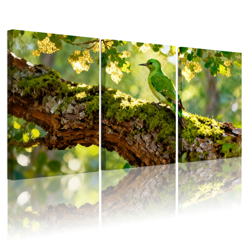 Oiseaux oiseaux verts perchés sur une branche moussue avec ensemble de 3 reproductions d'art sur toile, H 18 po x l 36 po