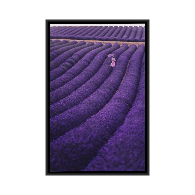 « Lavender Dreams » par Hobopeeba-reproduction de photo, Toile avec cadre noir, Pas de tapis, H 40 po x l 26 po x P 1,5 po