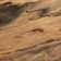 Willsbridge Solid Wood Top Single Coffee Table