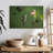 Brampt Three Hummingbirds-107844648