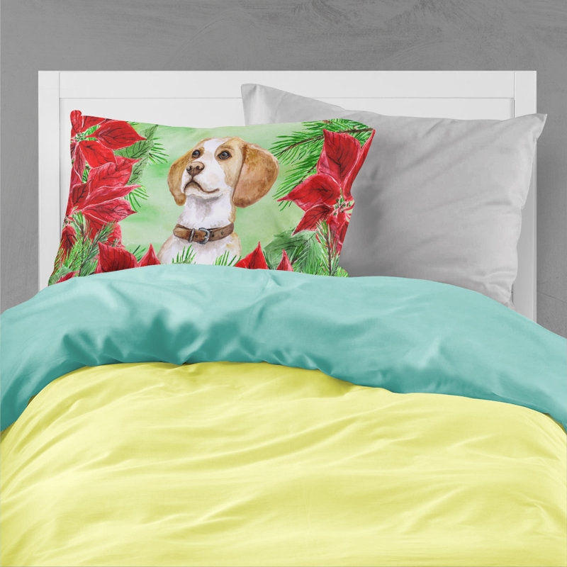 Microfiber, Beagle