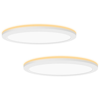 12 Inch Dimmable LED Flush Mount Ceiling Light with Night Light for Bedroom