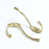 Polished Brass