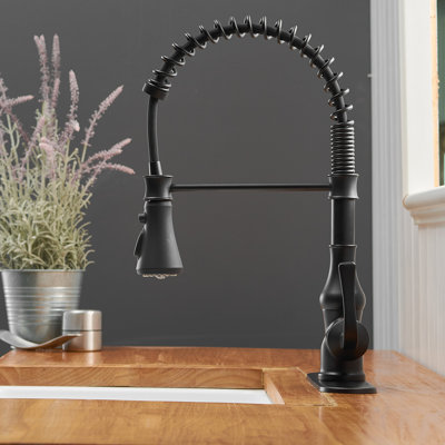 VIBRANTBATH Kitchen Faucet