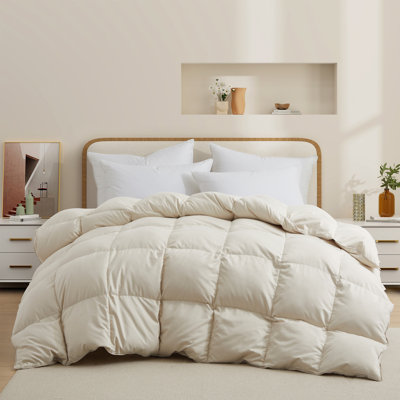 Couette en duvet, Couette plumes de duvet tous-saison, Lit Ultra-doux couette/duvet avec huit coins