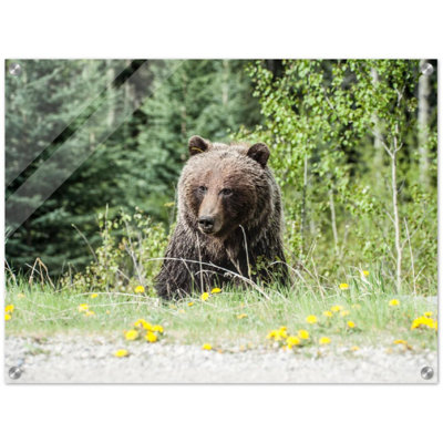 Roadside Bear Print Wall Art - Wildlife Bear Scenic Poster - Forest Nature Animal Artwork - Rustic Cabin Lodge Home Decor - Outdoor Adventure Wall Print - Minimalist Nature Illustration - Woodland Animal Gift
