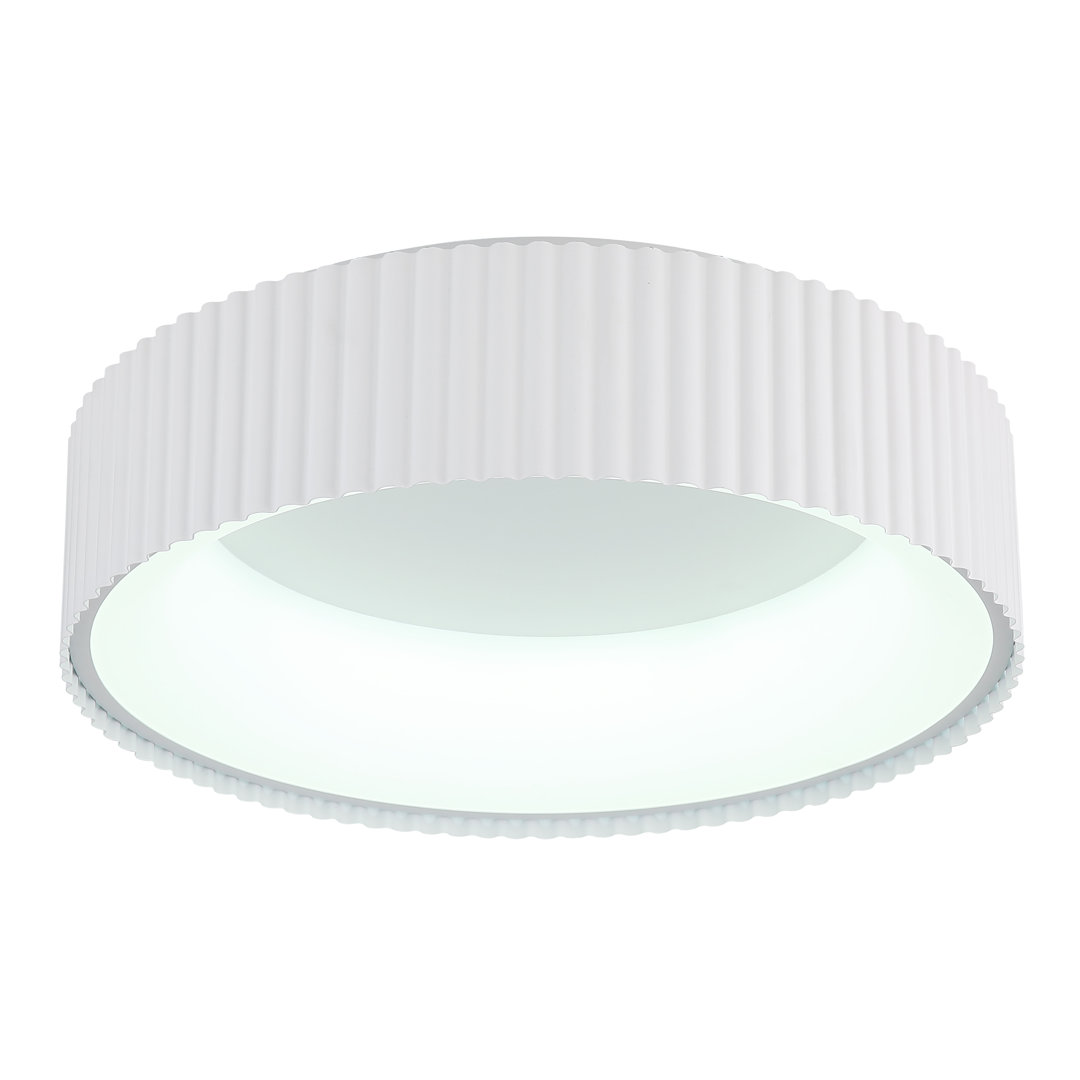 LED Flush Mount