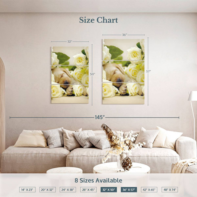 Brampt Oscar I, 50" H x 32" W