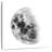 Oberle Moon Waning I-109210235