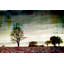 « twilight sleep » par parvez taj,, reproduction de photo sur toile tendue-9118188