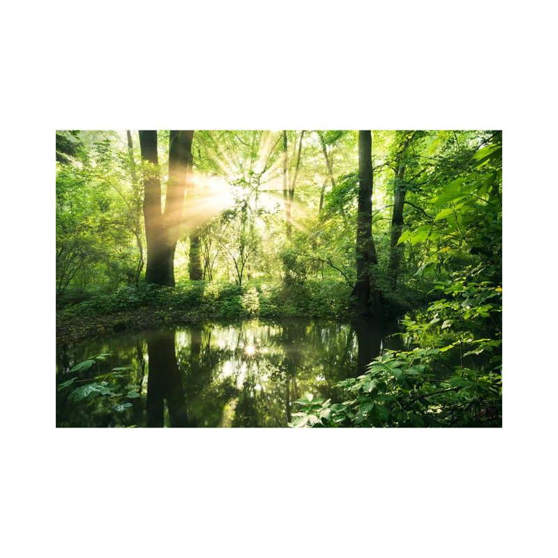 Eden Woods by Stefan Hefele - Wrapped Canvas Gallery-Wrapped Canvas Giclée, 66.04cm H x 101.6cm W