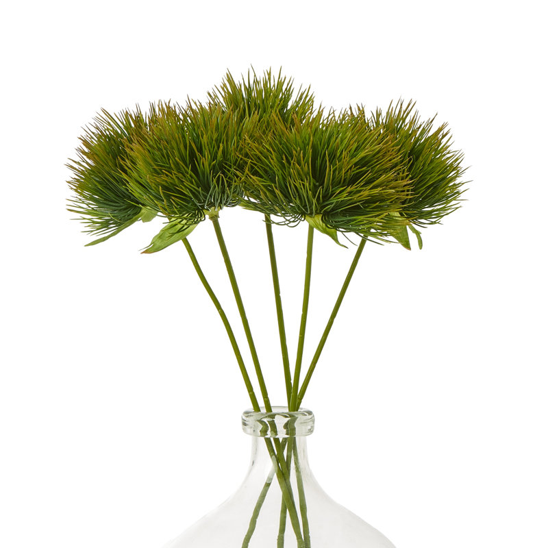 Anastasija Arrangement
