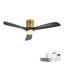 Ventilateur de plafond intelligent 52 po avec lumière - finition dorée, pales, commande vocale APP et Alexa, moteur réversible silencieux, DEL à intensité variable avec minuterie