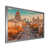 Silver Picture Framed