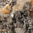 Golden Calcite On Sphalerite Matrix