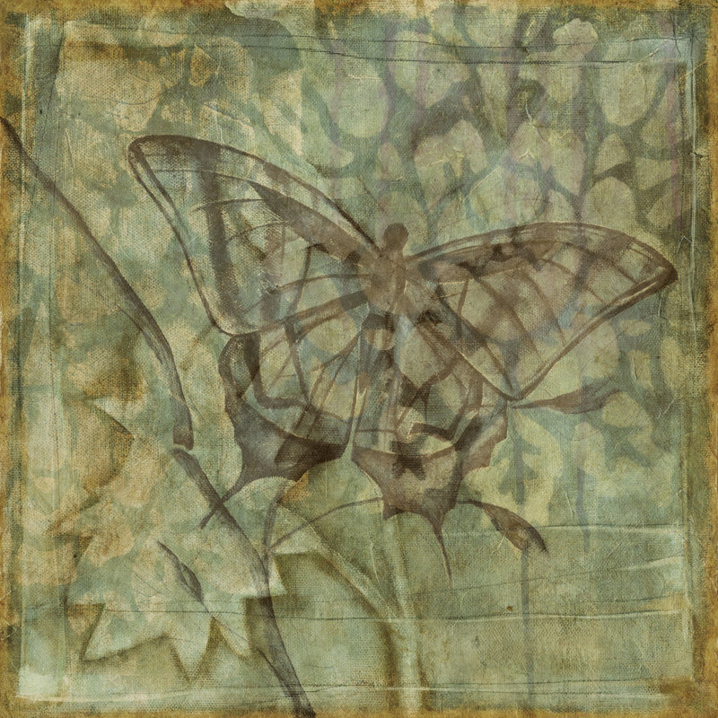 Small Ethereal Wings VI by Jennifer Goldberger - Wrapped Canvas Art Prints, 76cm H x 76cm W x 3.8cm D