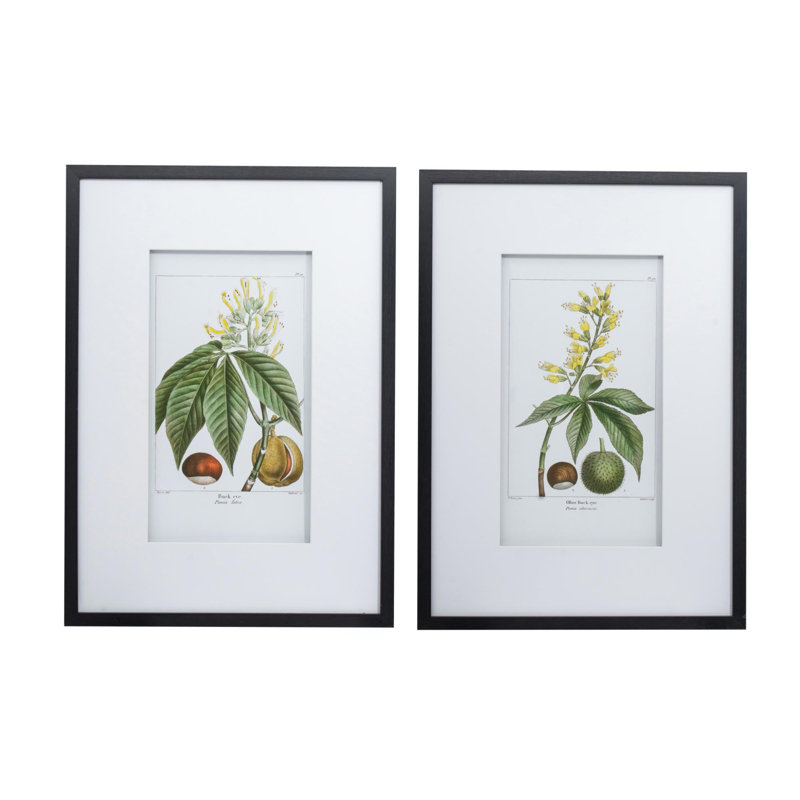 Ensemble de 2 reproductions d'art botanique encadrées, illustrations de plantes de châtaignier rétro 19,7 x 27,6 pouces avec cadres noirs et tapis blancs pour la décoration murale du salon
