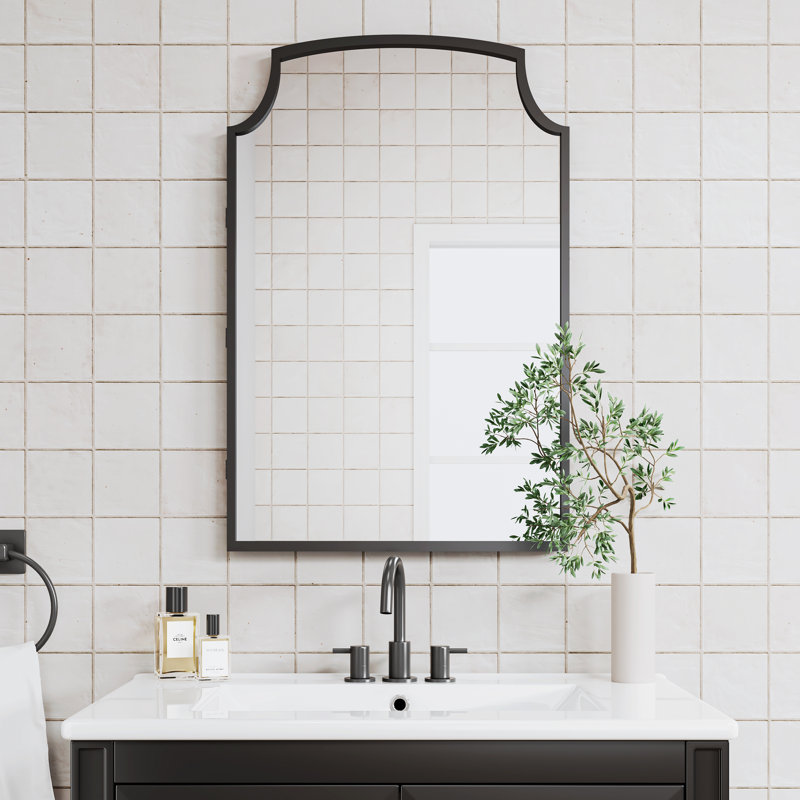Dolly 20" W X 30" H Medicine Cabinet With Mirror, Matte Black