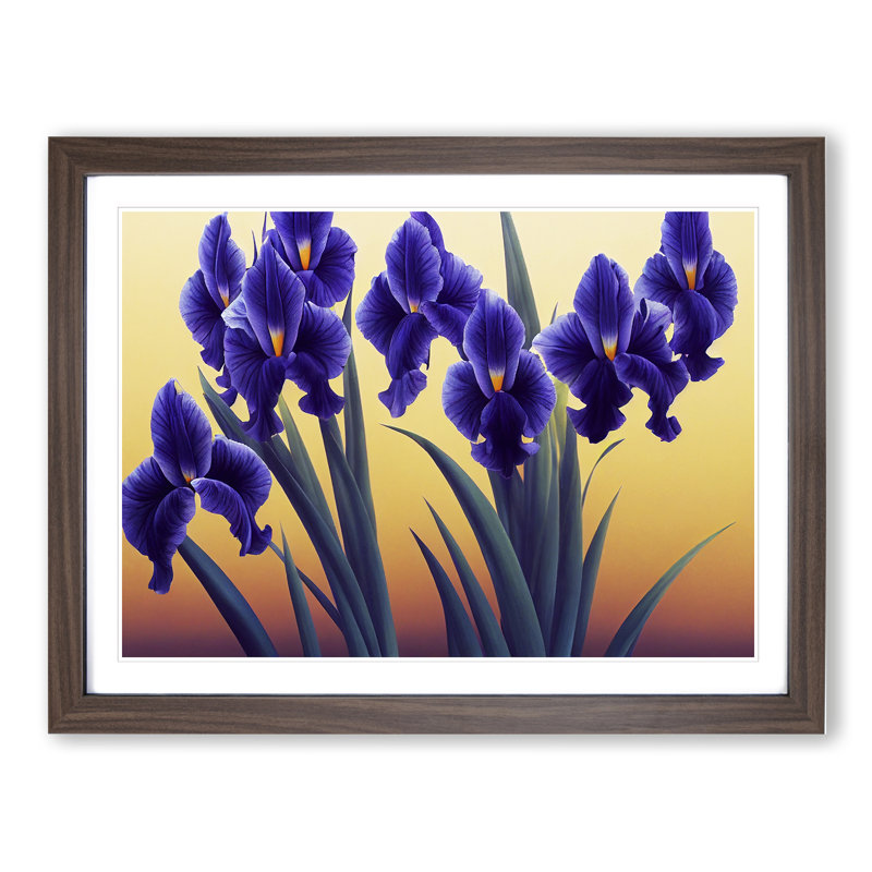 Excellent Iris Flowers - Framed Print, 46cm H x 64cm W x 2cm D, Walnut