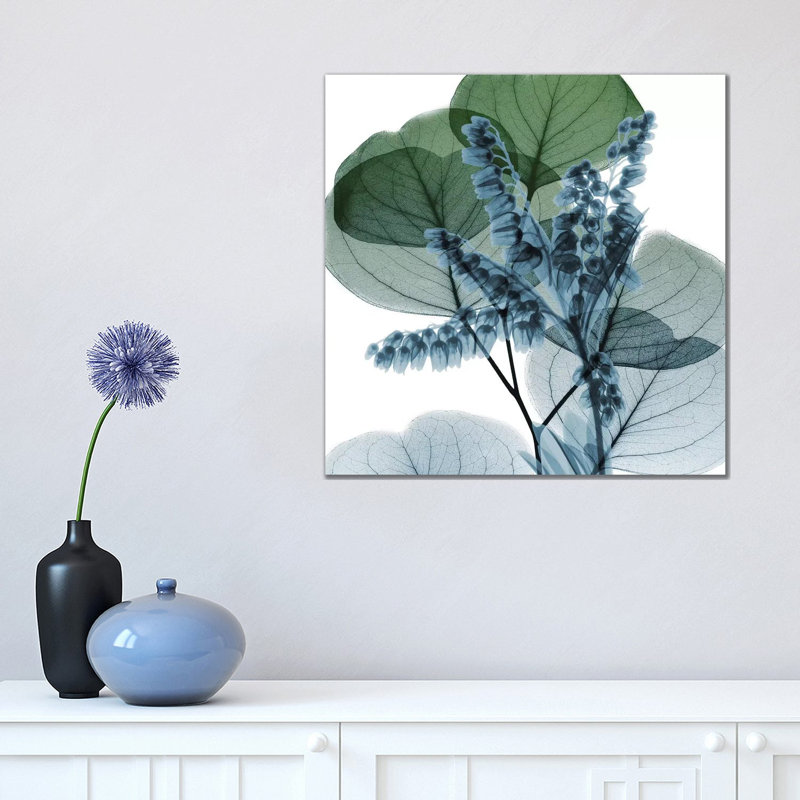 Lilly Of Eucalyptus II by Albert Koetsier - Wrapped Canvas Painting, 45.72 cm H x 45.72 cm W x 3.175 cm D