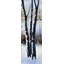 Frosted Trees - Contemporary Seasons, reproduction encadrée avec passe-partout