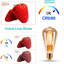 6 W 2200 K LED Smart Bulb