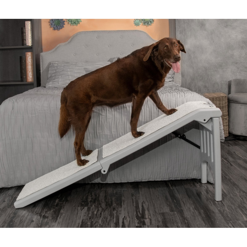 Rampe pour animaux 23 po