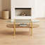 Table basse avec plateau en verre trempé et tablette inférieure, ovale, L 40,83 po x l 18,31 po x H 17,24 po, surface de rangement et de présentation pour le salon