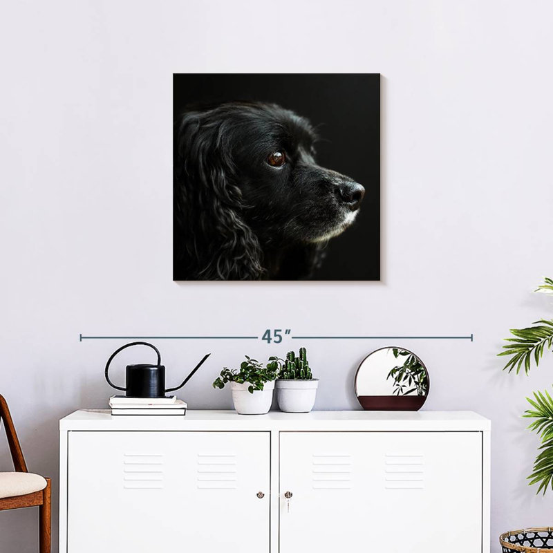 Crowle Cocker Spaniel Portrait