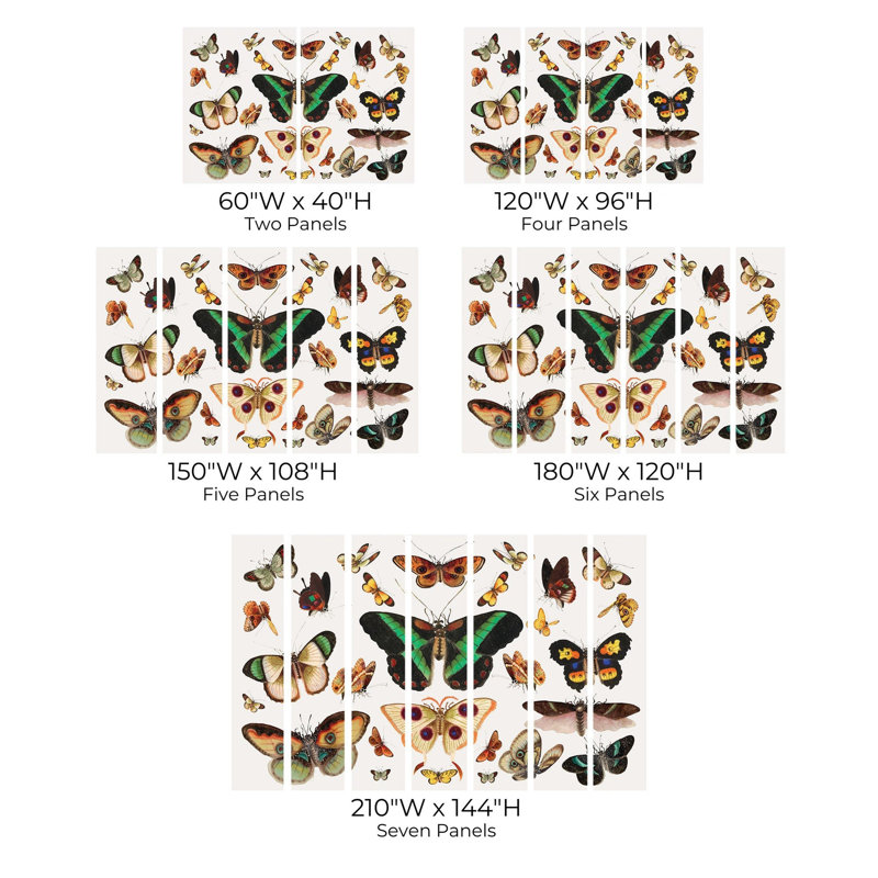 Papier peint de qualité supérieure - Papillons colorés, L 108 po x l 150 po