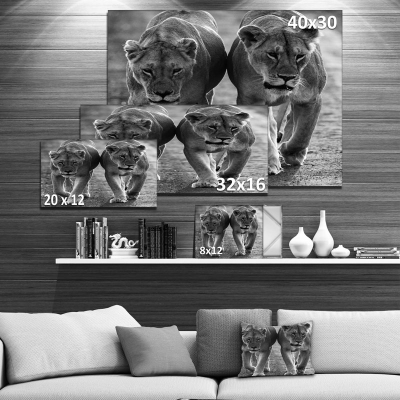 Photographie "lions en noir et blanc" à l’animal, H 8 po x l 12 po x P 1 po, Toile tendue