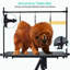 116.5x74.5x21.5cm Heavy Duty Hydraulic Pet Grooming Table with Adjustable Arm & 3 Loops | Anti-Slip Large Dog Grooming Table for Dogs & Cats – Professional & Stable