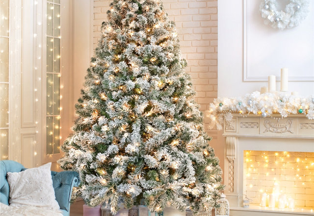 Christmas trees from $75