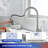 Rainlex Pull Down Kitchen Faucet-100933674