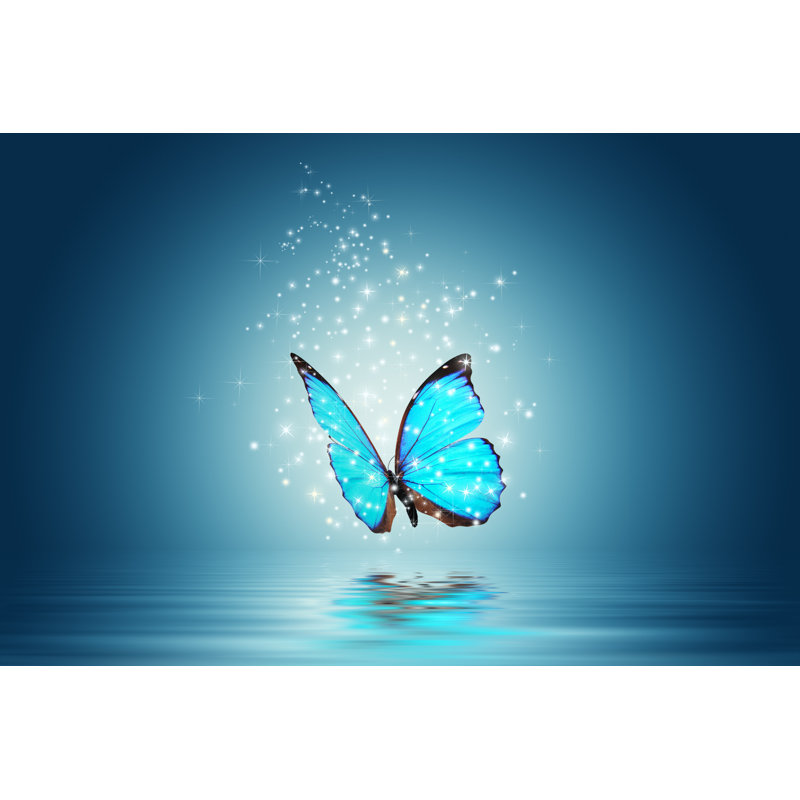 Butterfly by Vadmary - Wrapped Canvas Print, 61cm H x 91cm W