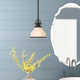 Maybery Single Light Glass Dimmable Pendant