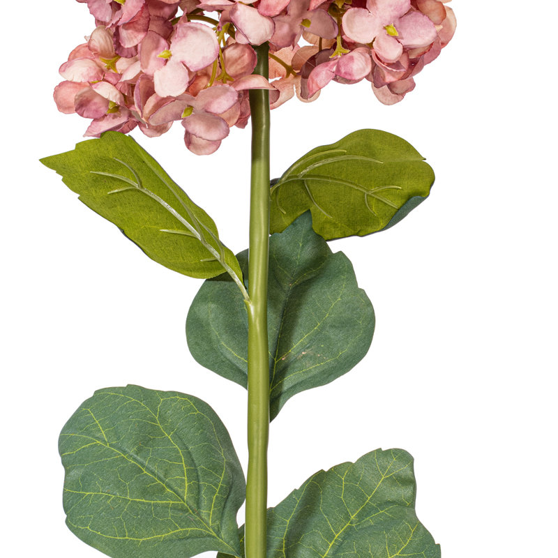 Tige d'Hortensia Milnor, Mauve