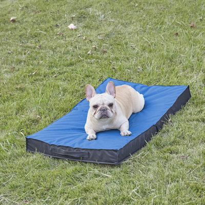 Deric Orthopedic Polyester Pet Bed