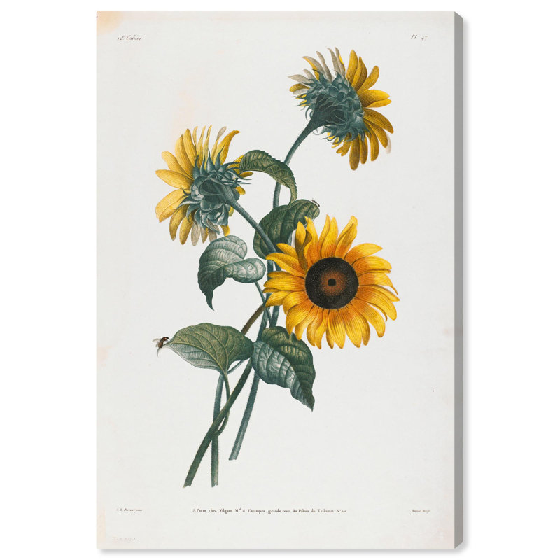 Art Remedy, impressions sur toile, tournesols, 1805, Toile tendue, H 45 po x l 30 po